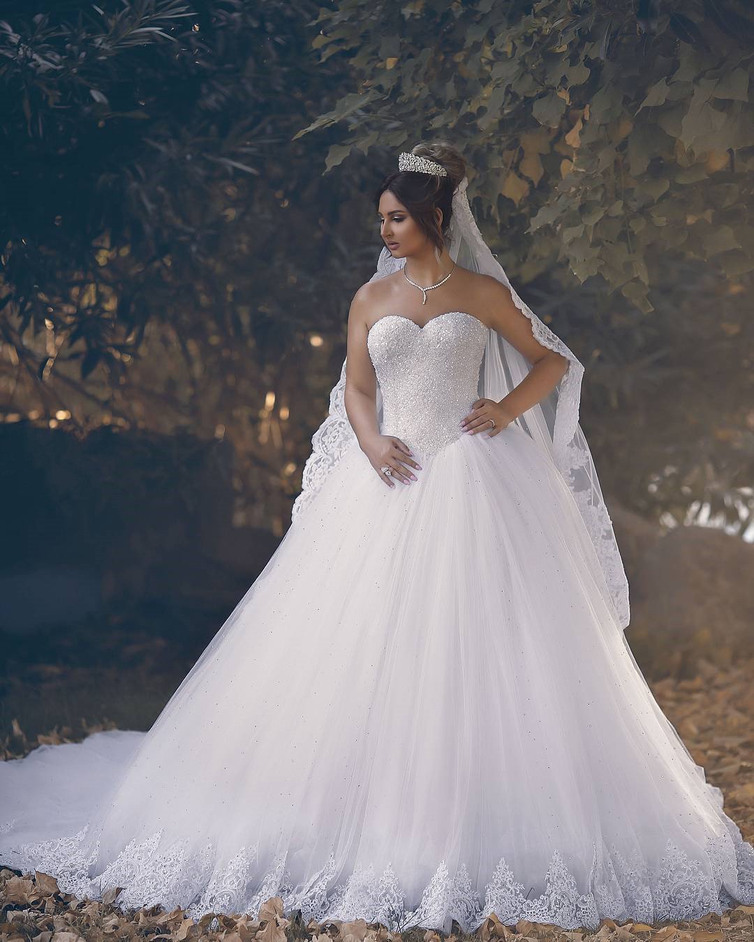 Bling Bling Sweetheart Drop Waist Wedding Princess Dresses Lace Appliques 2022