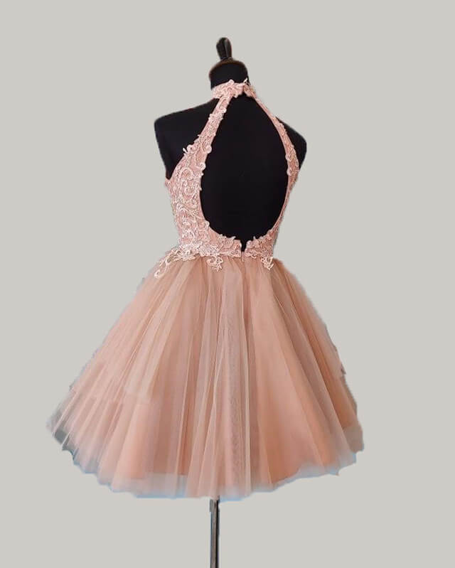 Blush Halter Tulle Homecoming Dress Lace Embroidery