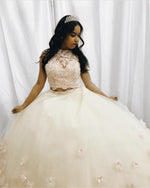 Cargar imagen en el visor de la galería, Blush Pink Lace Crop Tulle Two Piece Ball Gowns Quinceanera Dresses
