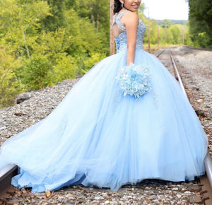 Luxurious Crystal Beaded Scoop Neckline Tulle Ball Gowns Quinceanera Dresses