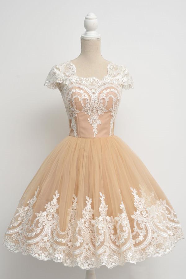 Vintage 1950s Style Tulle Swing Party Dress Lace Cap Sleeves