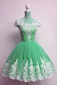 Vintage 1950s Style Tulle Swing Party Dress Lace Cap Sleeves