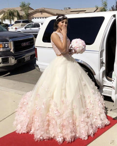 Blush Pink Lace Crop Tulle Two Piece Ball Gowns Quinceanera Dresses