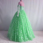 Load image into Gallery viewer, Illusion Neckline Long Sleeves Lace Ball Gowns Quinceanera Dresses 2018
