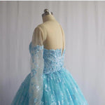 Load image into Gallery viewer, Illusion Neckline Long Sleeves Lace Ball Gowns Quinceanera Dresses 2018

