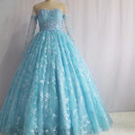 Load image into Gallery viewer, Illusion Neckline Long Sleeves Lace Ball Gowns Quinceanera Dresses 2018
